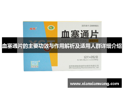 血塞通片的主要功效与作用解析及适用人群详细介绍