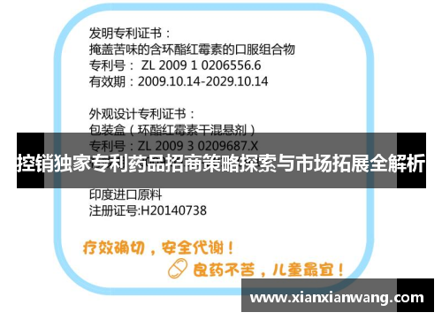 控销独家专利药品招商策略探索与市场拓展全解析